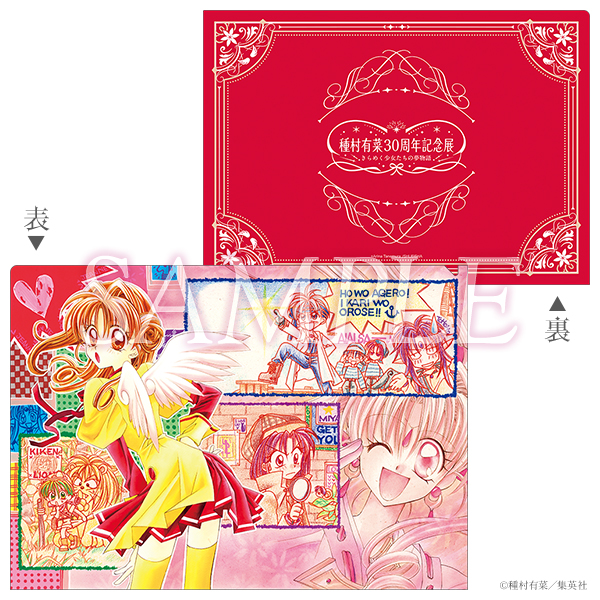 《Pre-Order》A4 Clear File｜種村有菜 30周年記念展商品 (26032-P)