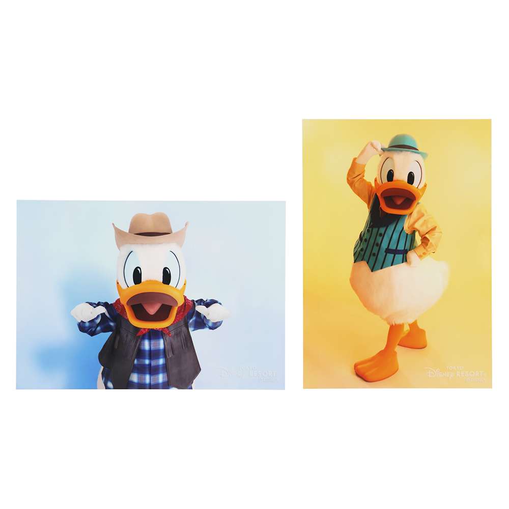 【預訂】TDR Donald 相片 6p