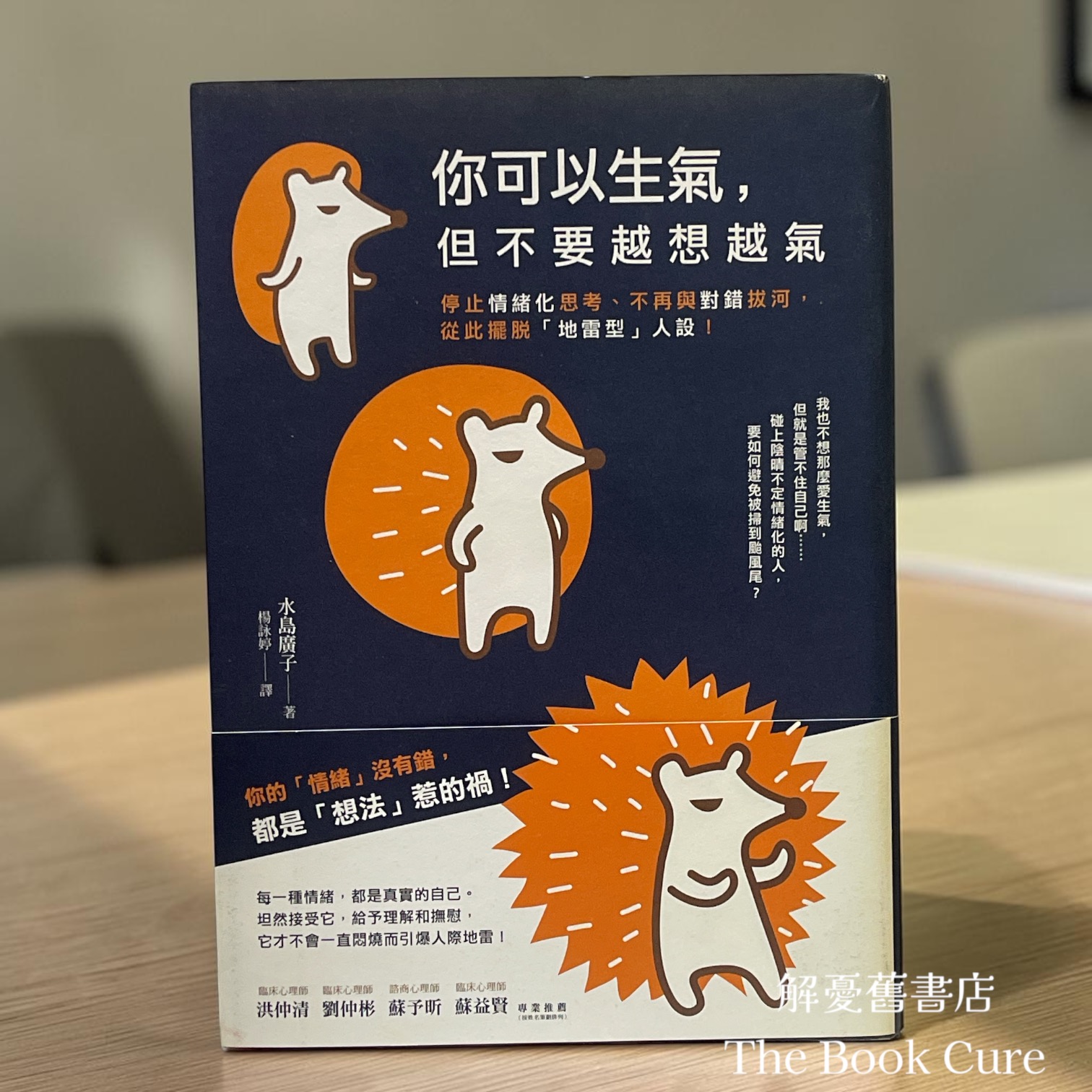 你可以生氣，但不要越想越氣 / 水島廣子 著