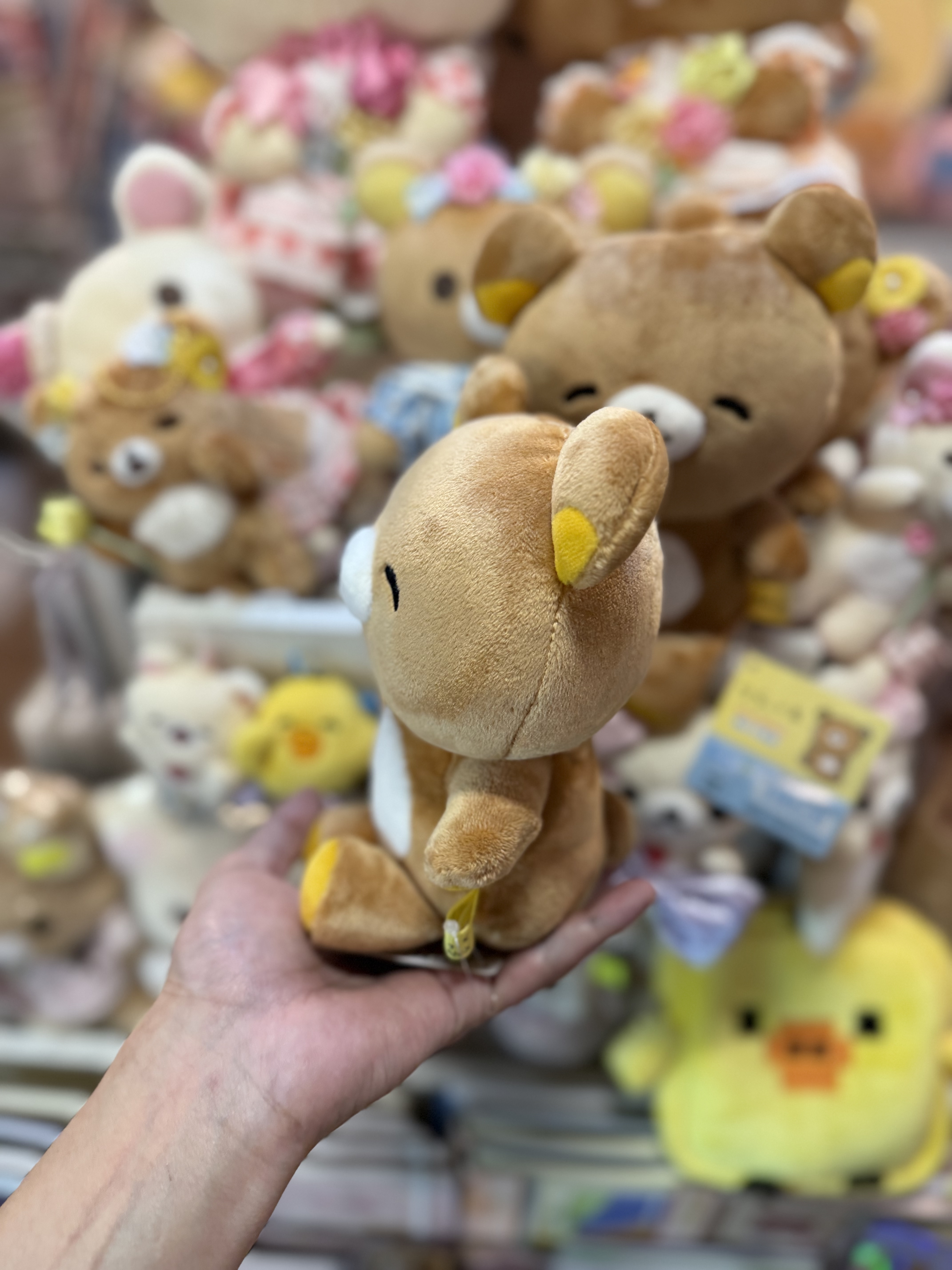 《現貨》全新日本專店限定 Happy rilakkuma 系列公仔