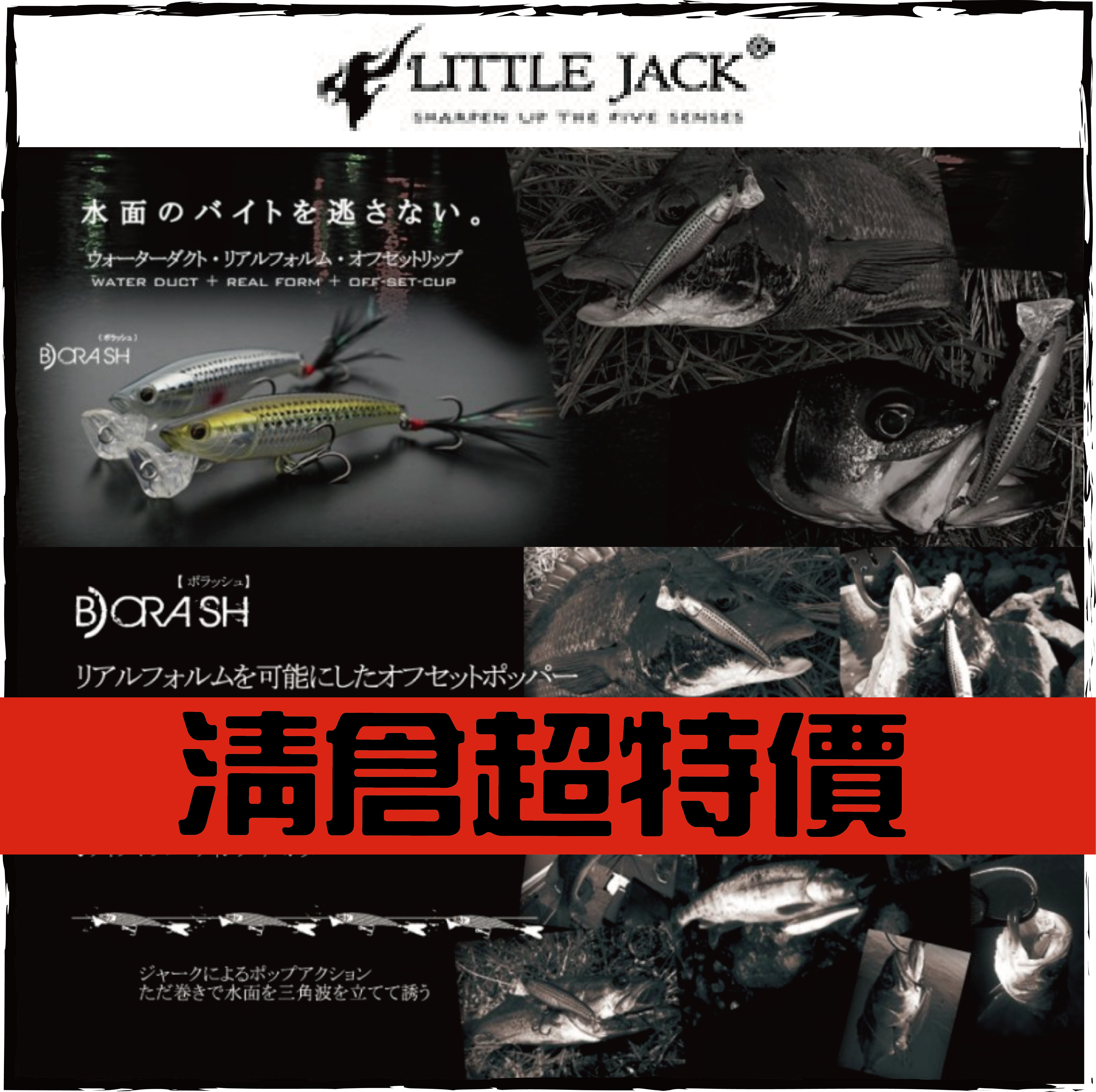 BORASHリトルジャック ボラッシュ