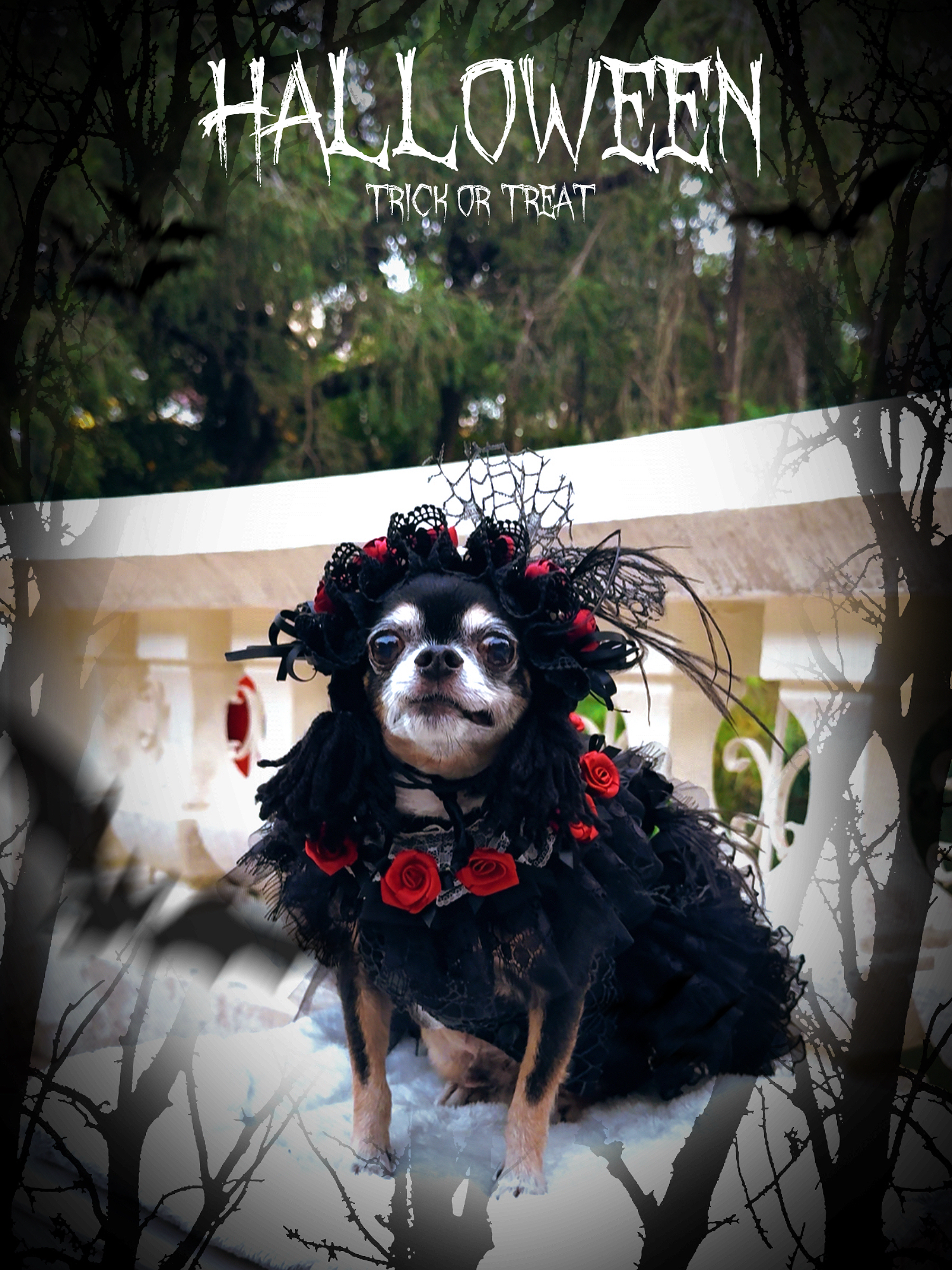 原創設計 暗黑者系列小禮服款&胸背帶款