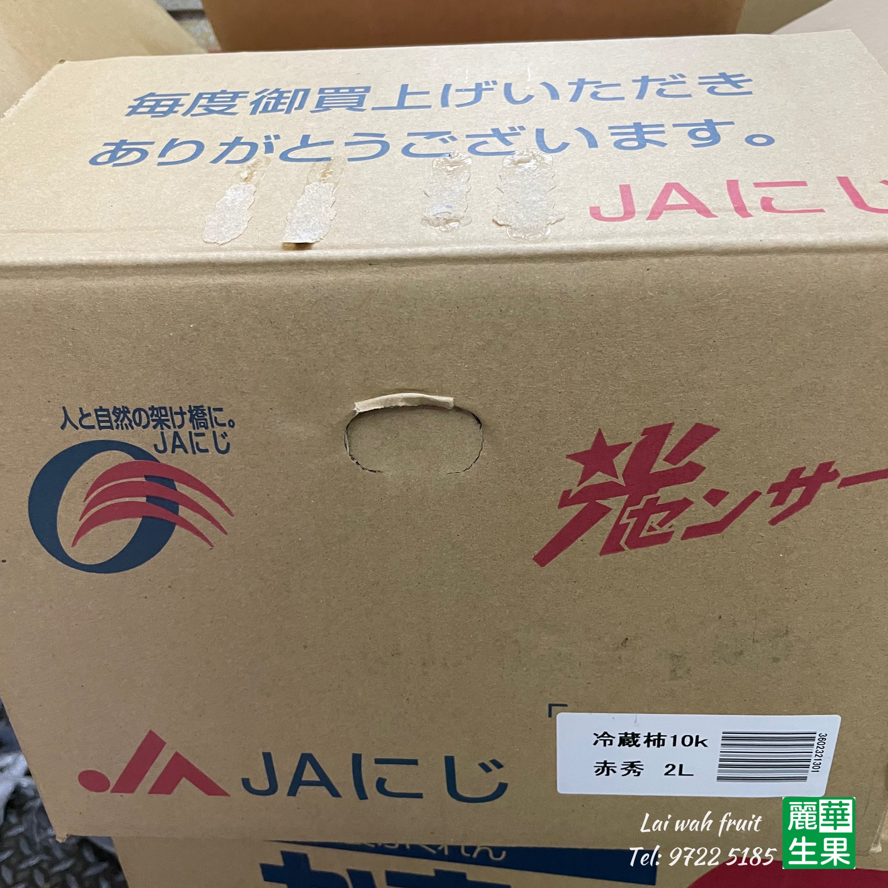 🇯🇵福岡縣【富有柿🧡】