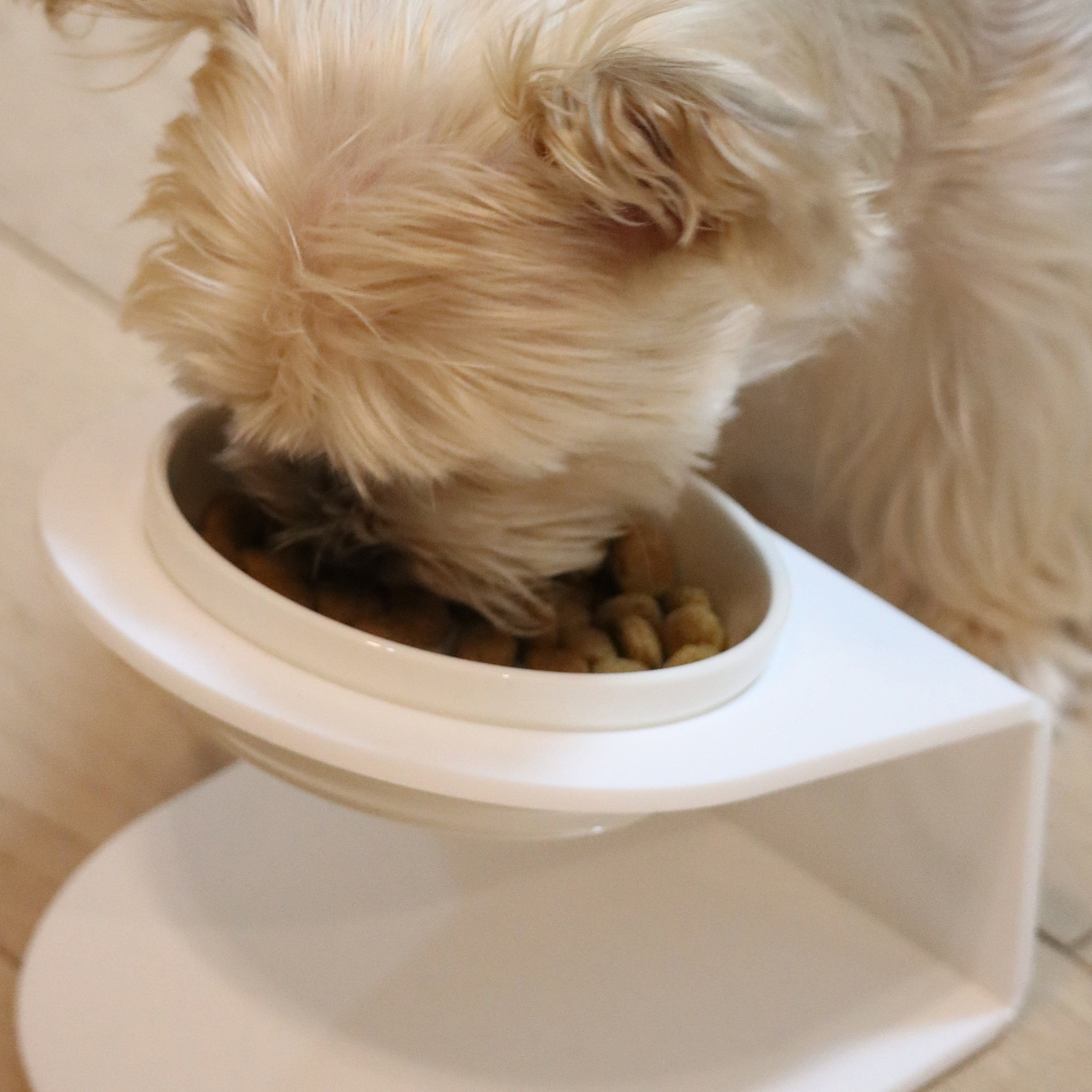 【客製寵物碗架 1.0  - 貓及小型寵物】