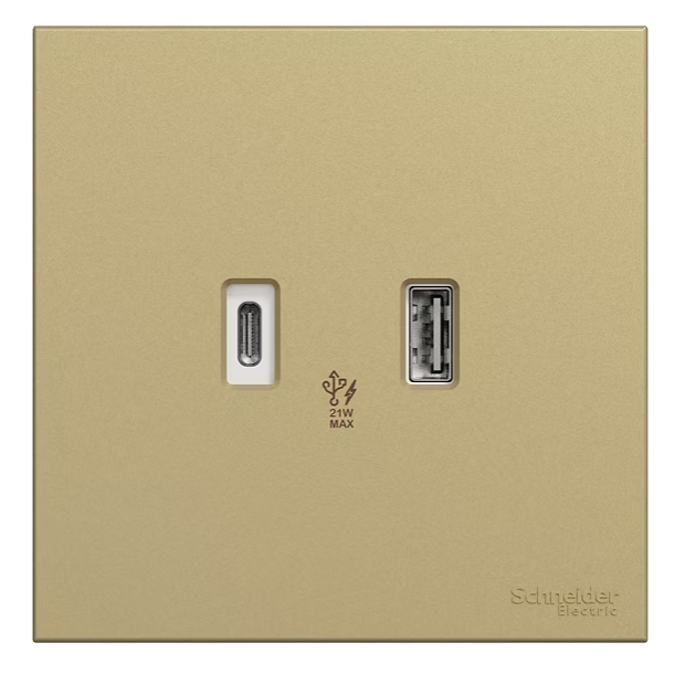施耐德 奐然AvatarOn C 沉醉金 2位21W Type A+C USB充電 插座