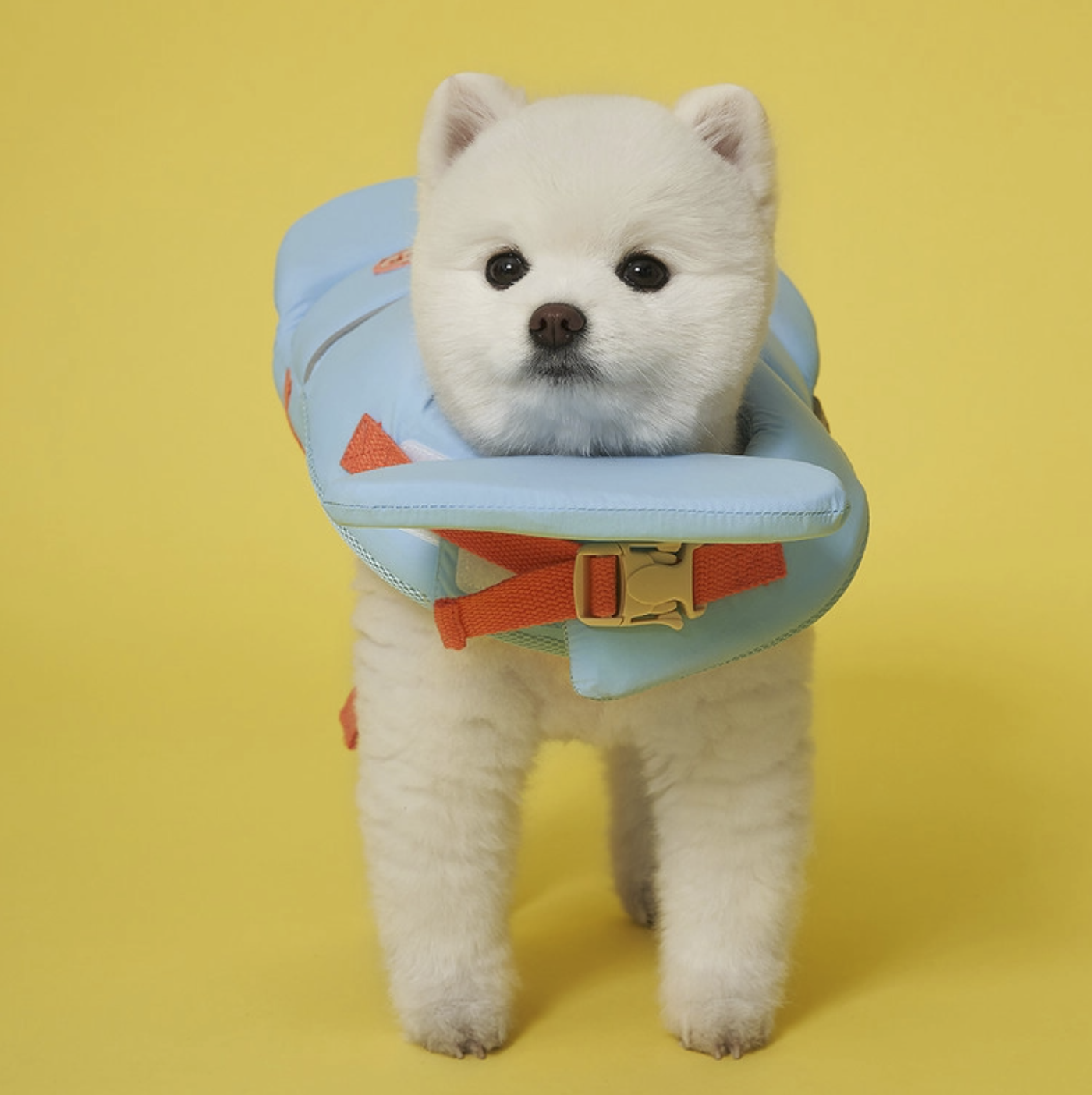 *SuperPet 🇰🇷 夏日必備 Joyful 狗狗救生衣