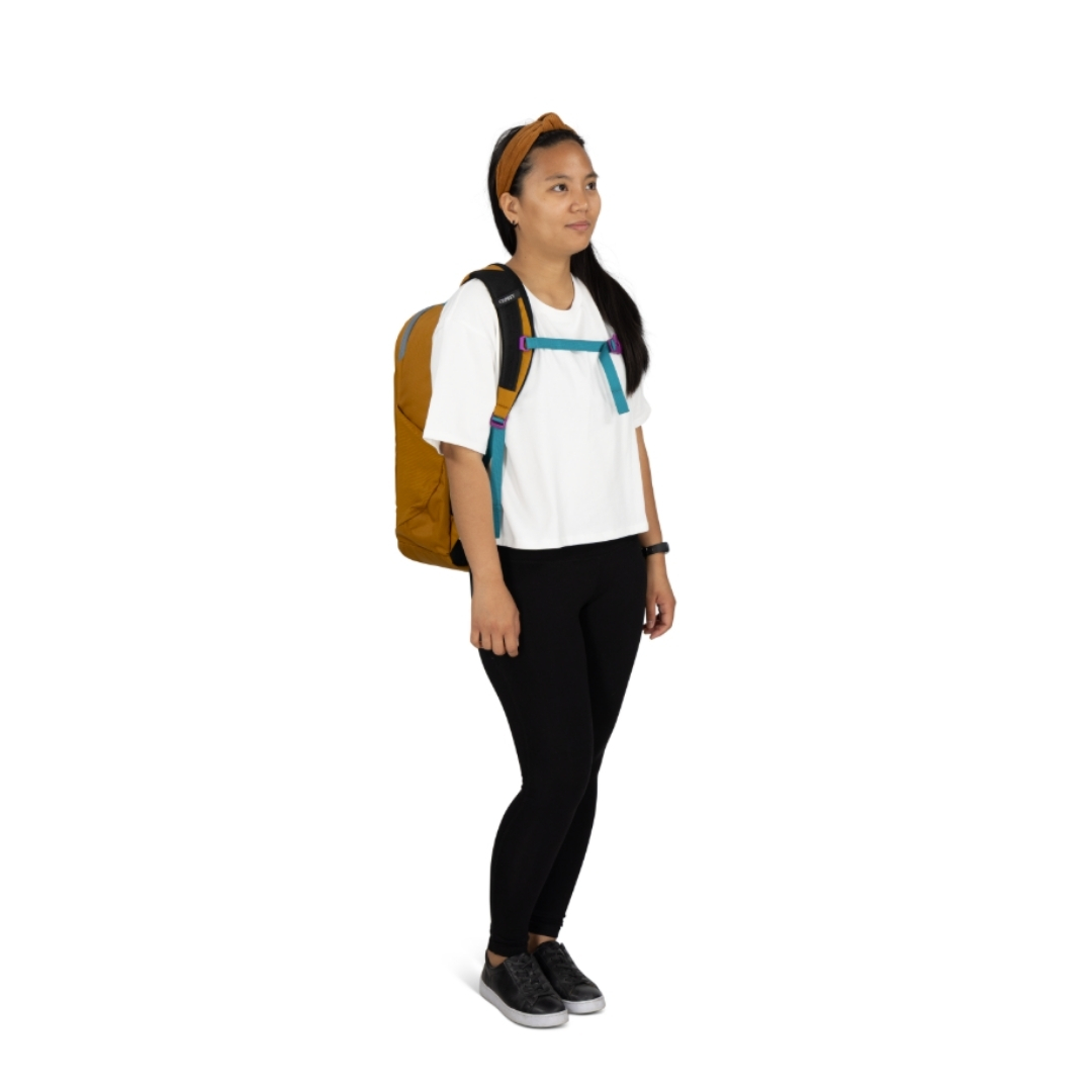 Osprey Proxima 30 日常背包