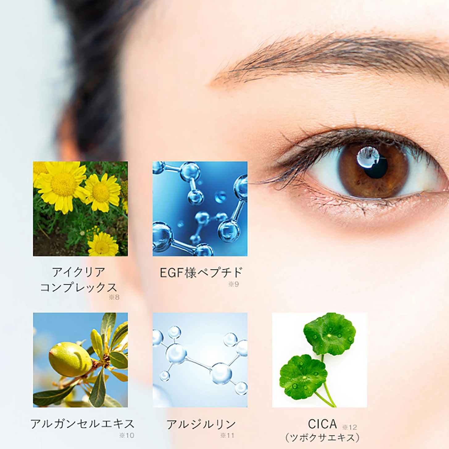 【日本直送】AMPLEUR HQ Retinol Eye 5-in-1 眼霜 20g |平行進口正品