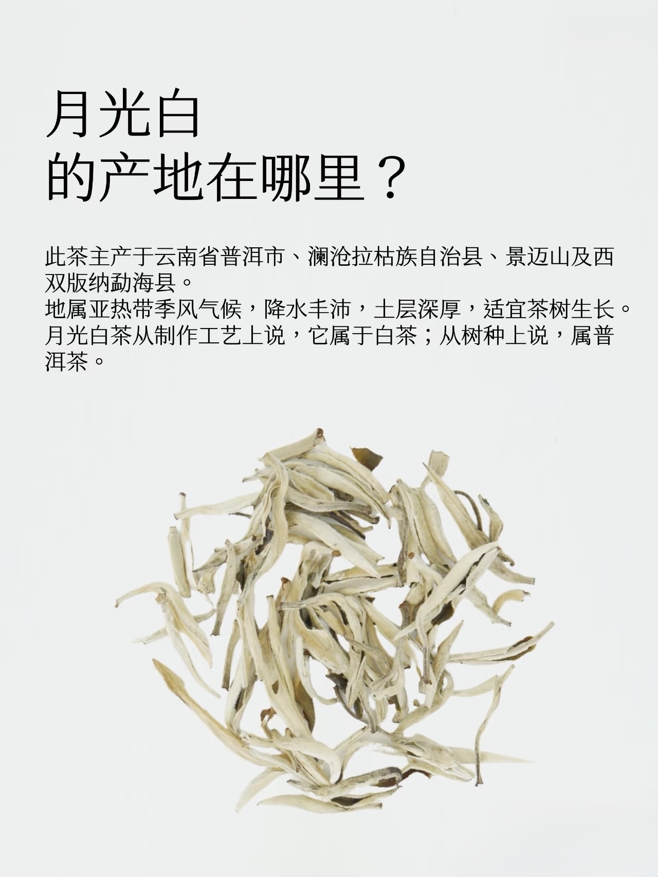 【璃棠初绽】静享时光大自然茶味茶叶礼盒套装茶盏茶具礼品送礼推荐礼物送长辈送闺蜜礼物礼品礼盒礼篮中秋节礼物伴手礼