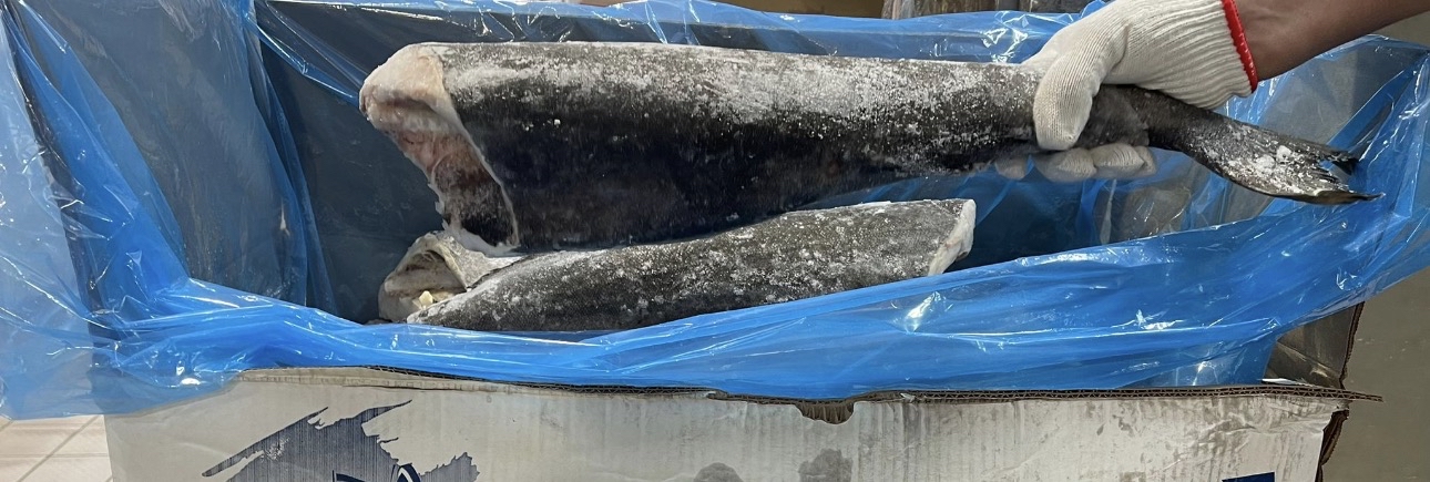 美國阿拉斯加原條銀鱈魚（約4lb-4.5lb）