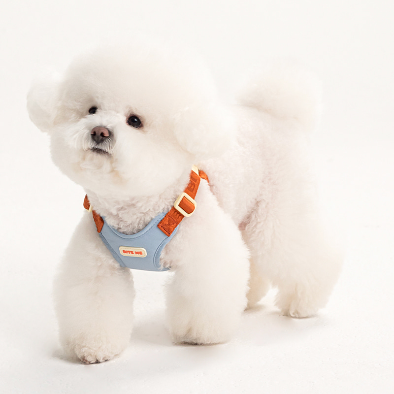 *預購 BiteMe🇰🇷 Comfort Harness v2