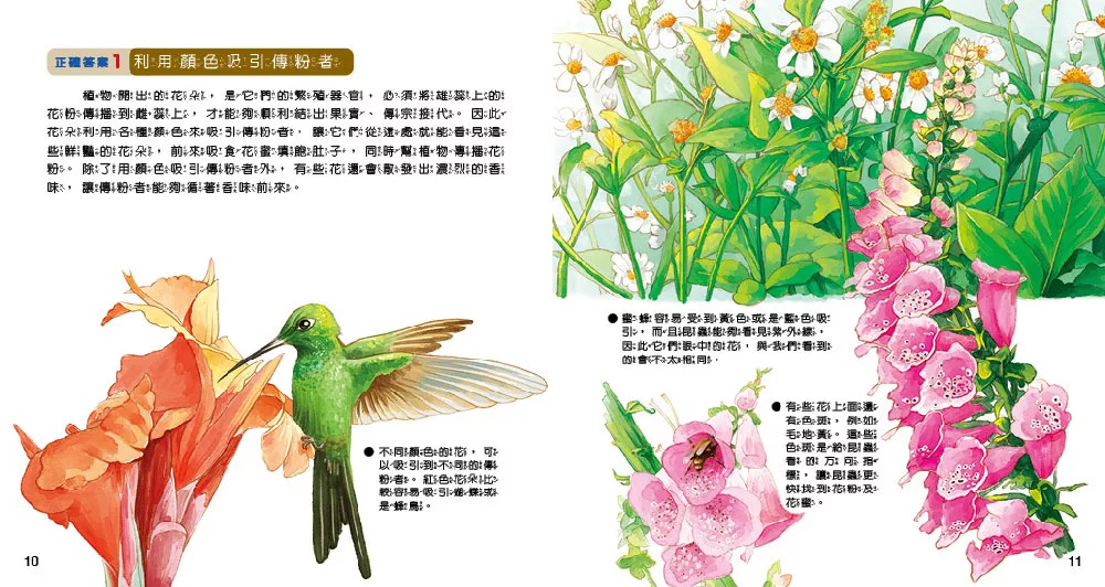 小牛頓 WOW原來是這樣：植物小秘密