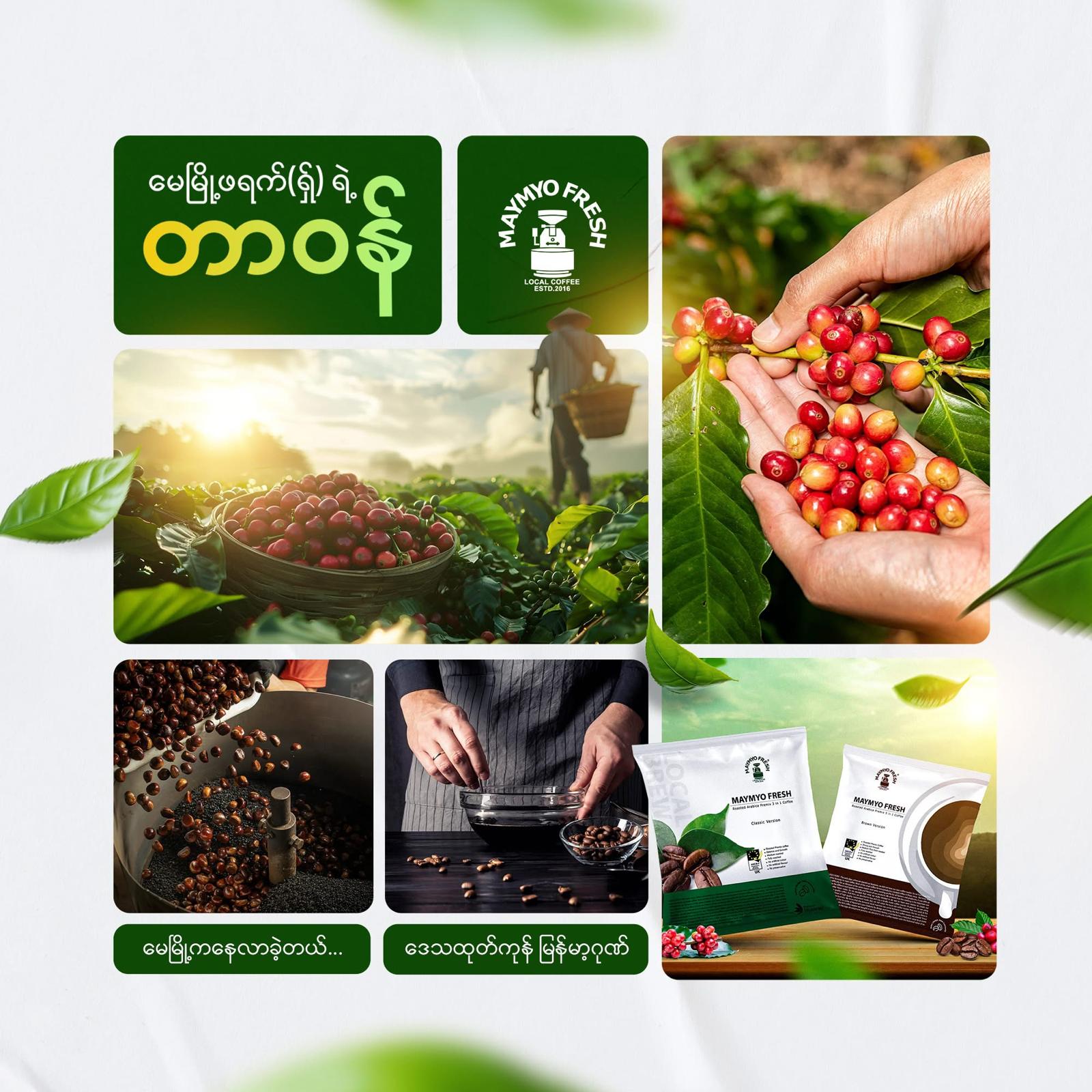 緬甸Myamyo Fresh 低糖三合一即沖咖啡 | Myanmar Maymyo Fresh Low-sugar 3 in 1 Coffee