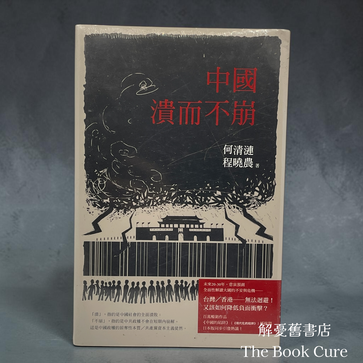 中國：潰而不崩 / 何清漣、程曉農 著