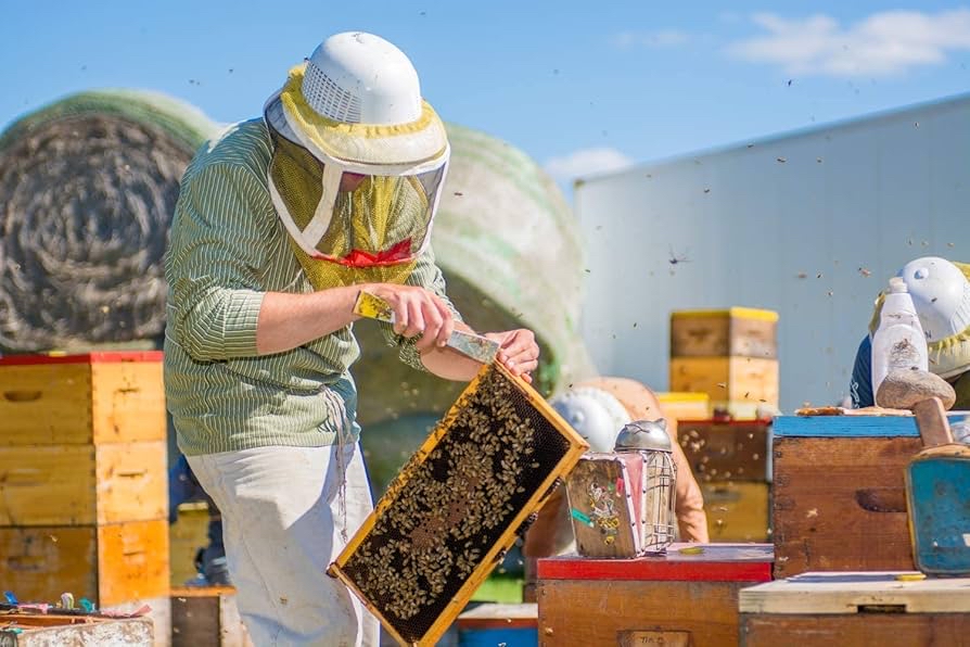 加拿大直送  Wendell Estate Canada’s No1 White Creamed Honey 1 kg