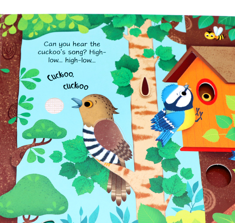 Usborne Bird Sounds book鳥類奇妙觸摸發聲書 
