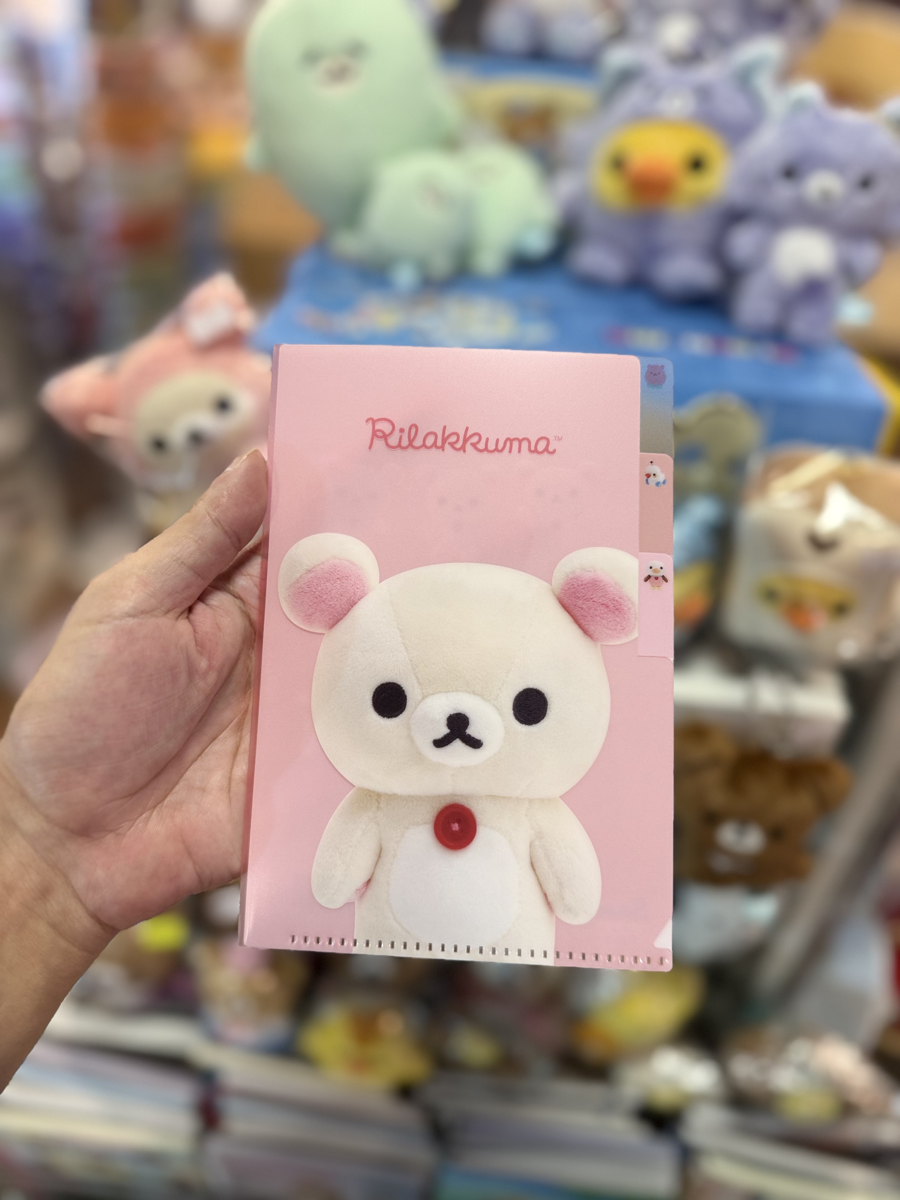 《現貨》全新rilakkuma寫真系列A6 分頁file
