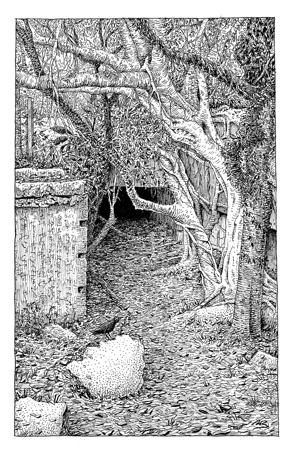 The Ink Trail - ART PRINT Quiet Ruins