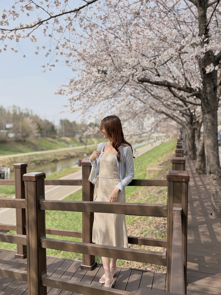 Romance Slim Cami Dress (Beige)