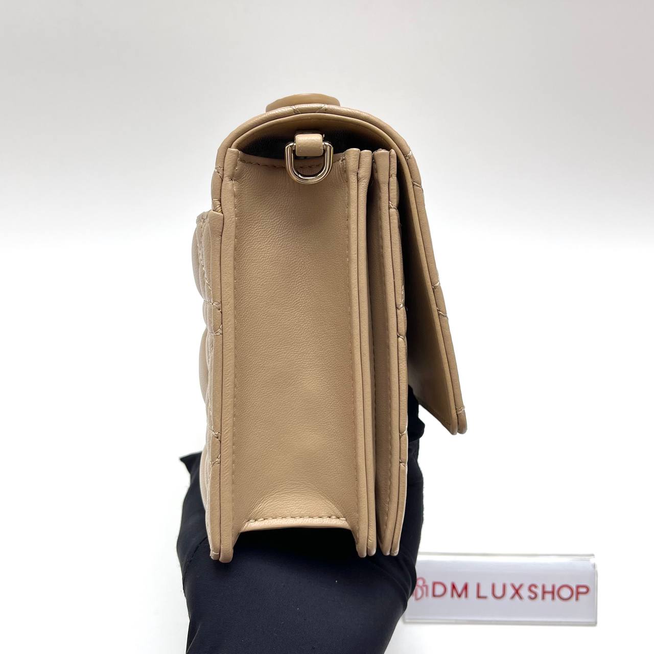 Dior My Dior Top Handle Biscuit GHW