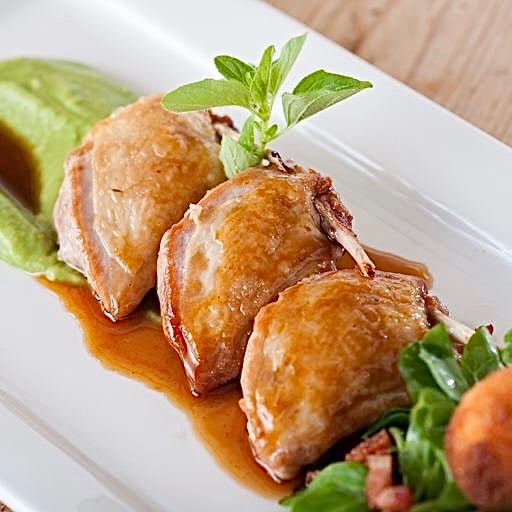 法國Fineplume鵪鶉