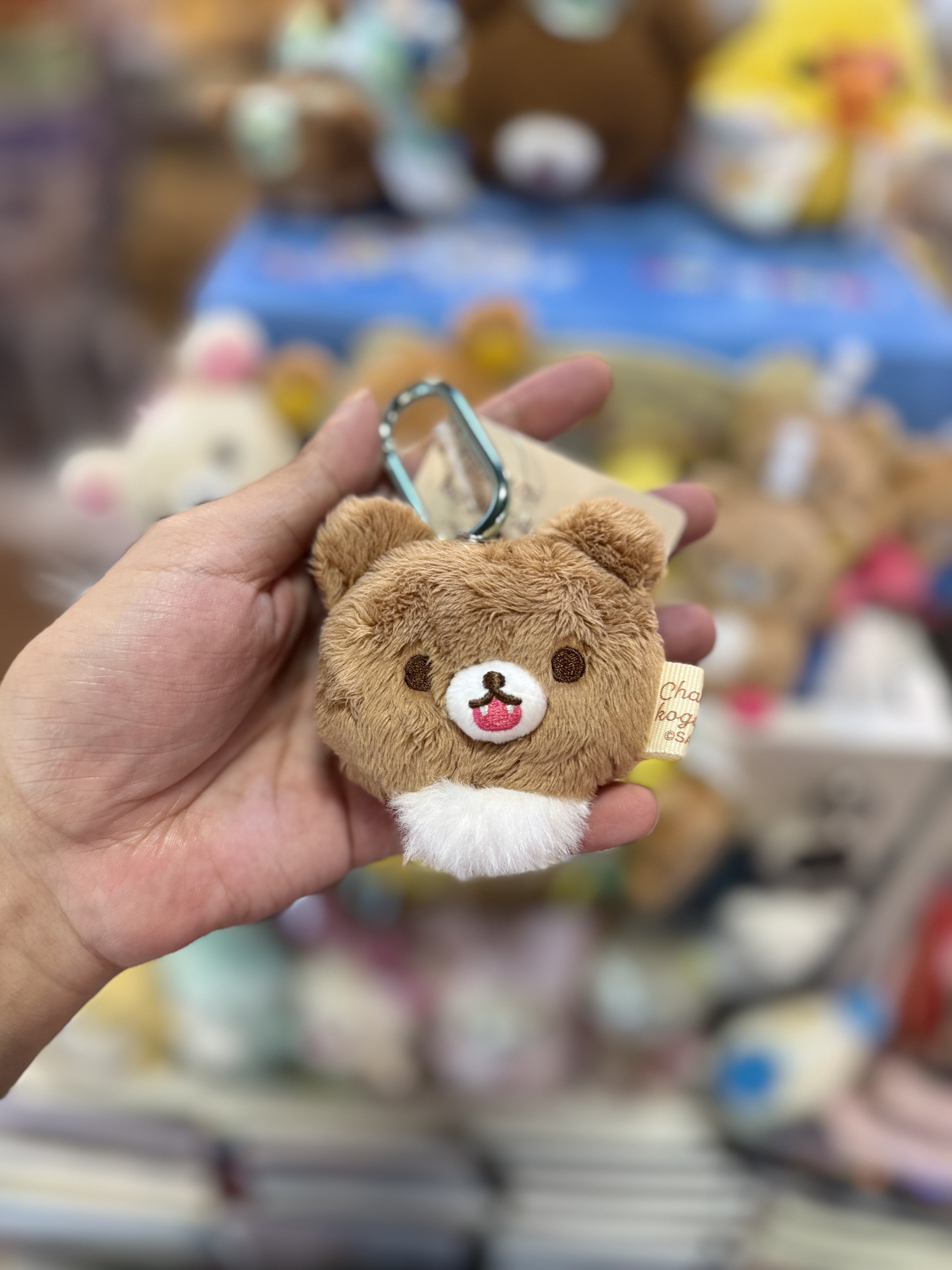 《現貨》全新日本專店限定小熊10週年小熊露牙掛飾
