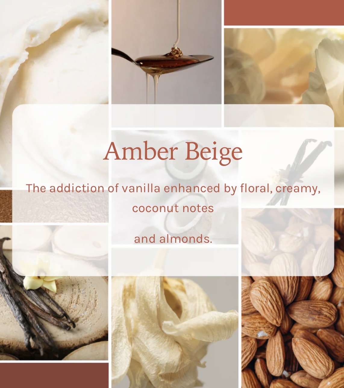 Last Chance *Pikoc AMBRE BEIGE laundry detergent 1 L 琥珀