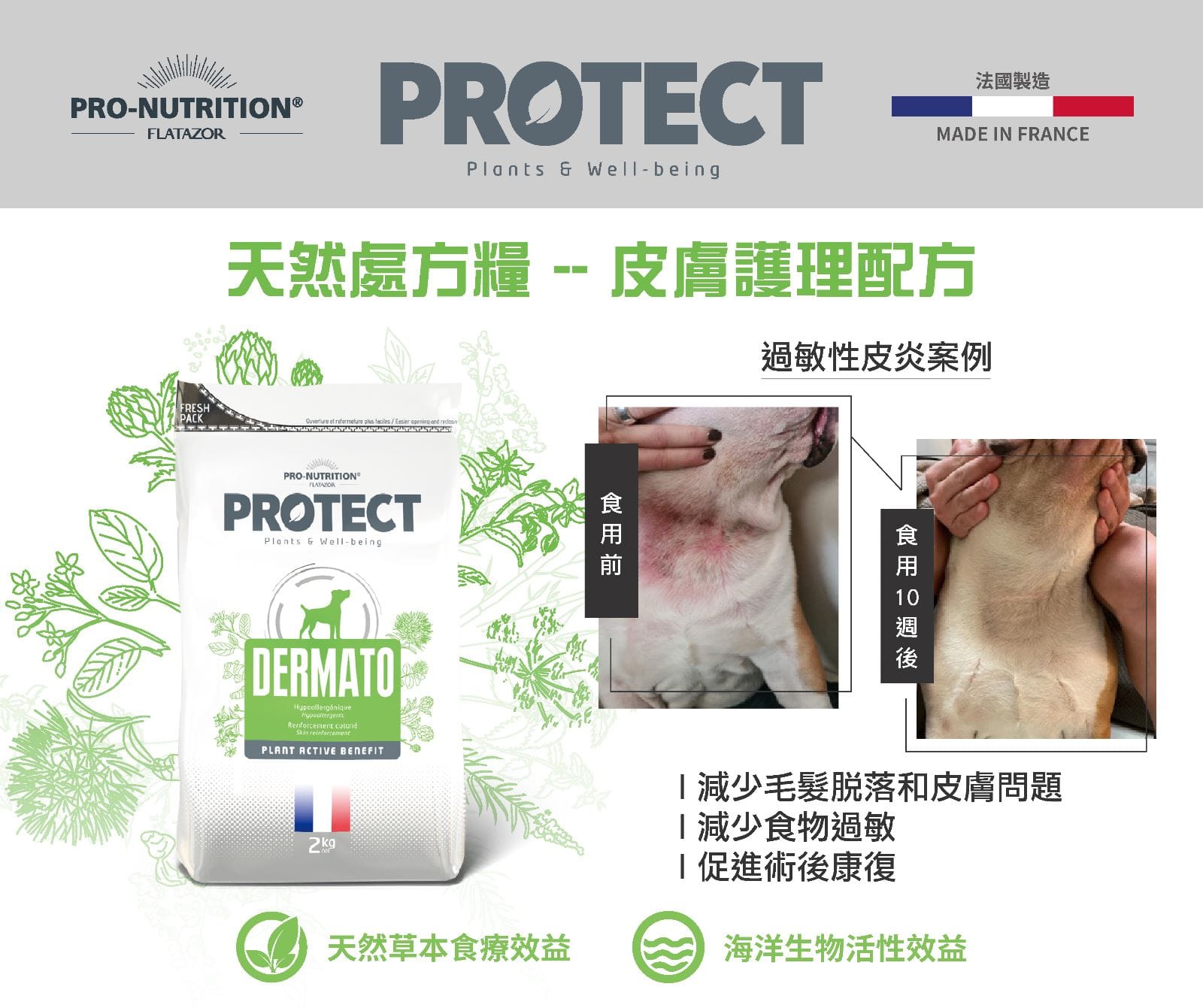 法國 Pro-Nutrition Protect | Dermato 皮膚護理獸醫配方成犬糧 (2kg)