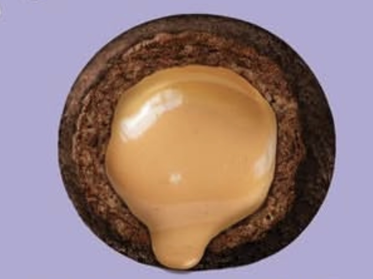 澳洲Costco  Harvest Box  雙重巧克力花生醬高蛋白球Double Choc Peanut Butter Protein Bombs。420 g 