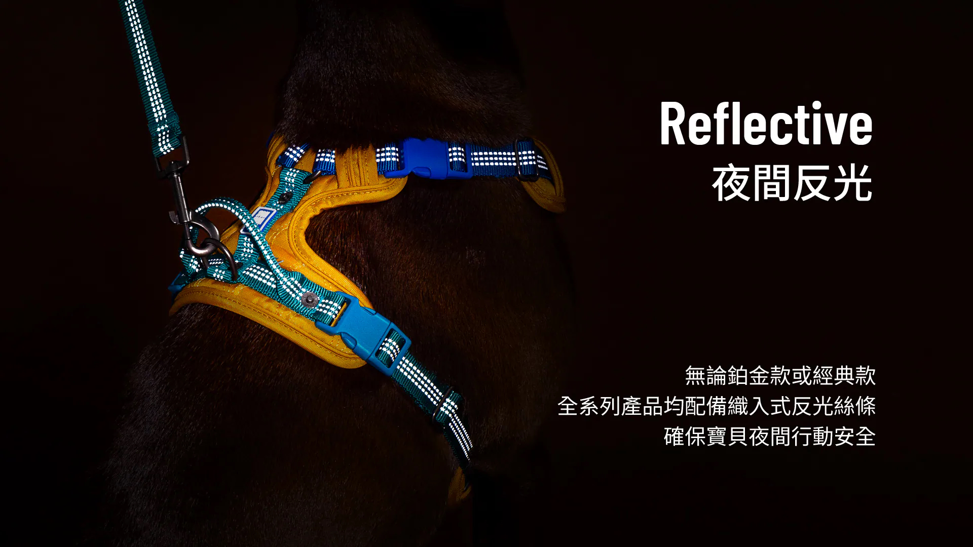 HORHORJOY 胸背帶 (經典 粉)