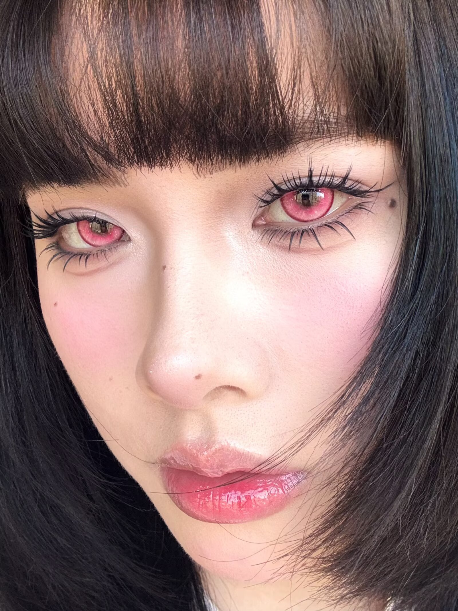 Yukicon 日拋2片 雪域系列