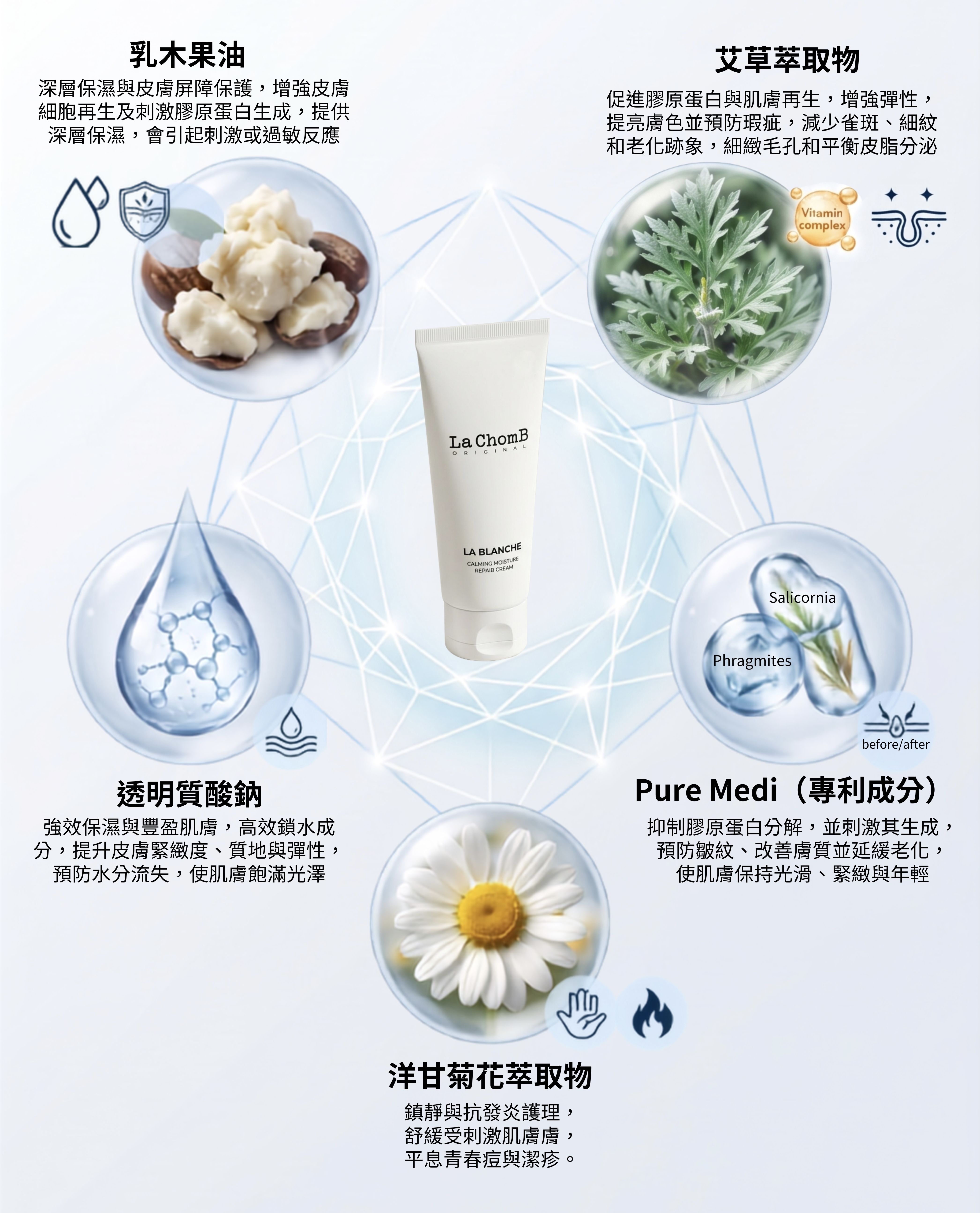 LaChomb 鎮靜保濕修護霜核心成分海報，展示乳木果油、艾草萃取物、透明質酸鈉、Pure Medi 專利成分與洋甘菊花萃取物之功效與科學實驗室風格設計。