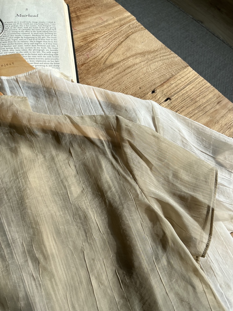 Airy Sheer Crinkle Top (Brown)