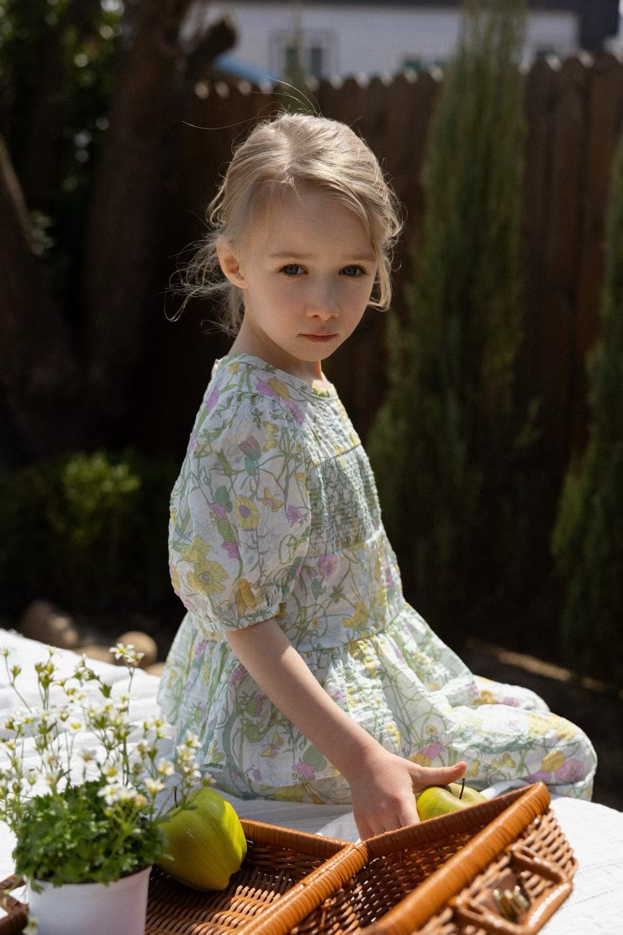 🇰🇷perrobebe set