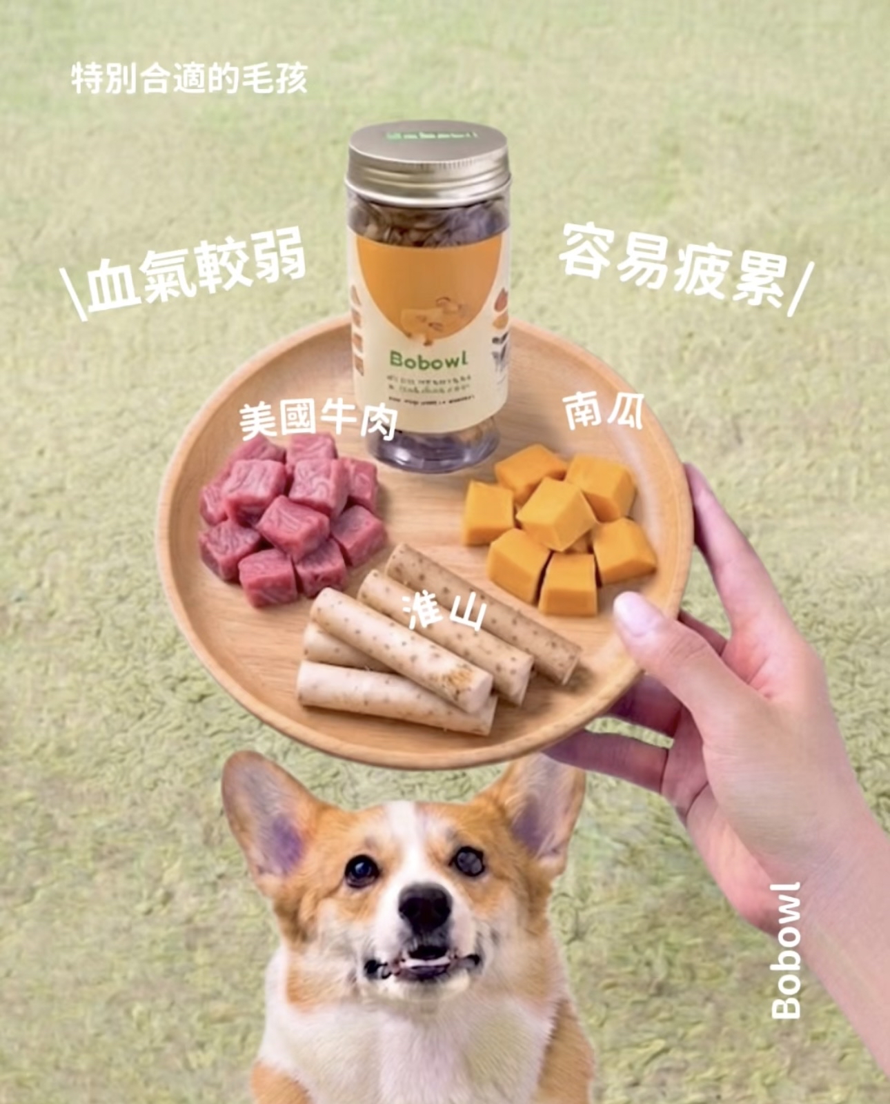 🥩牛肉養生脆片・血氣調理