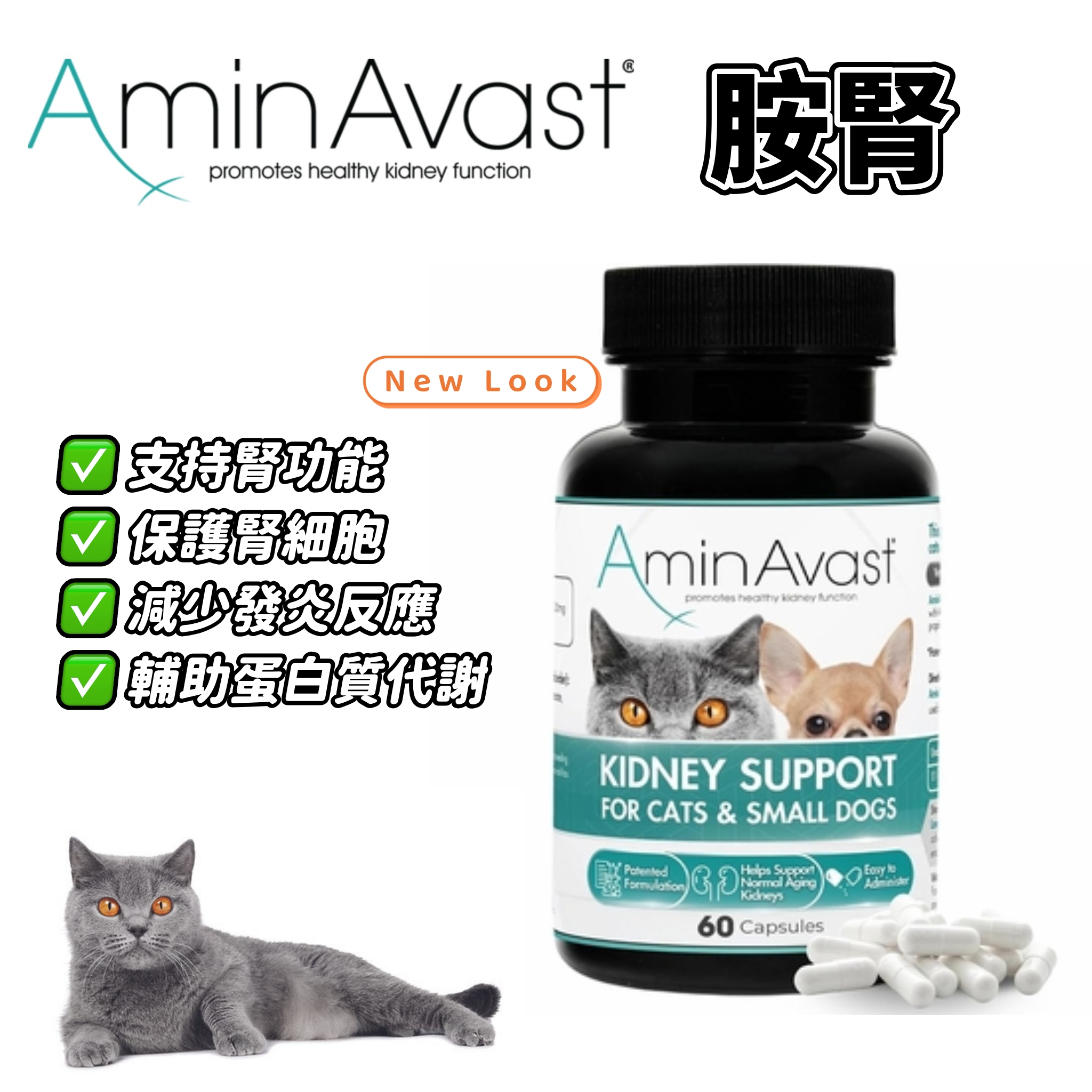 美國 AminAvast (胺腎)貓咪腎臟營養保健品 (適合慢性 / 急性腎貓專用) 