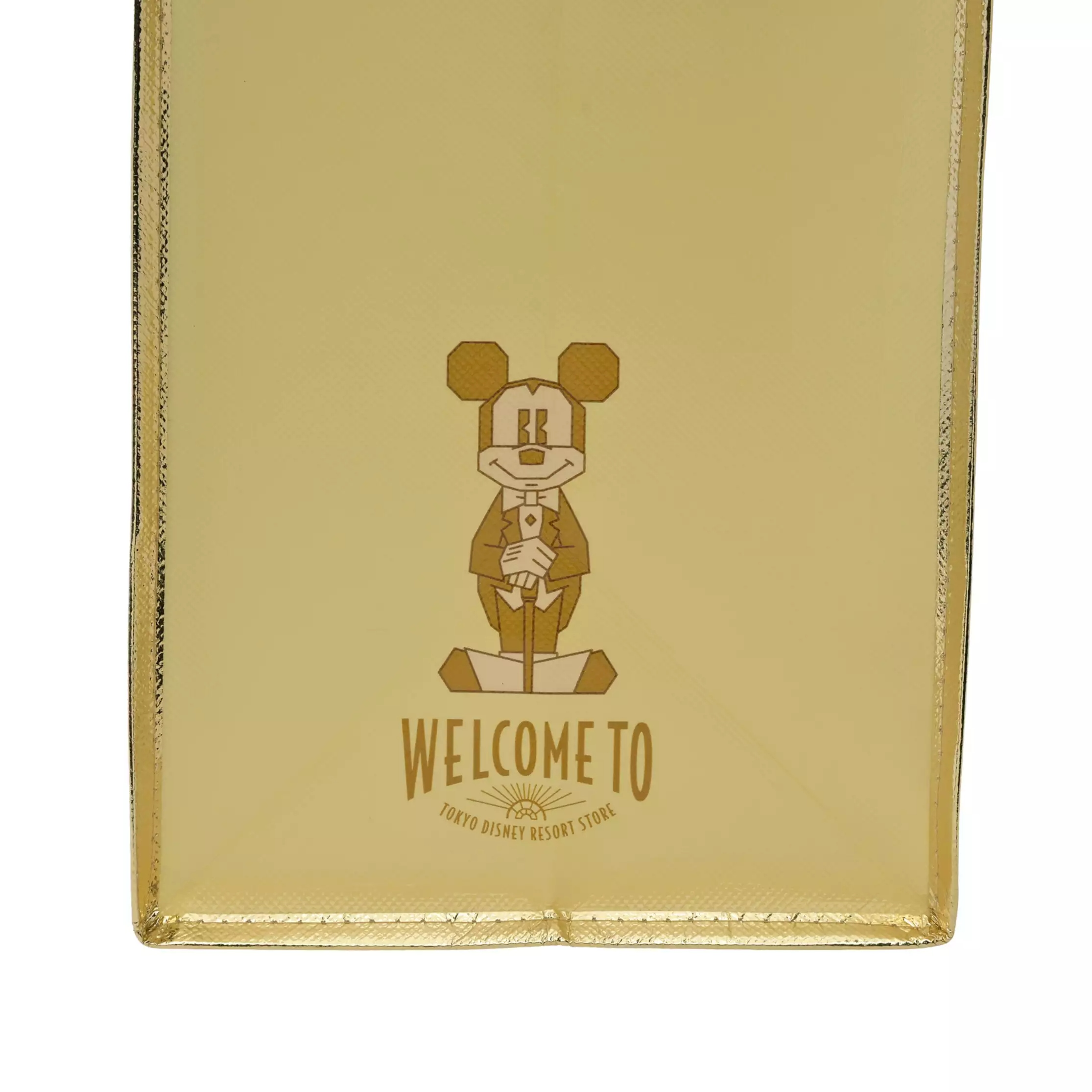 🌸 【預訂】Mickey & Friends Shopping Bag - Tokyo Disney Resort Store's Renewal Opening 1st