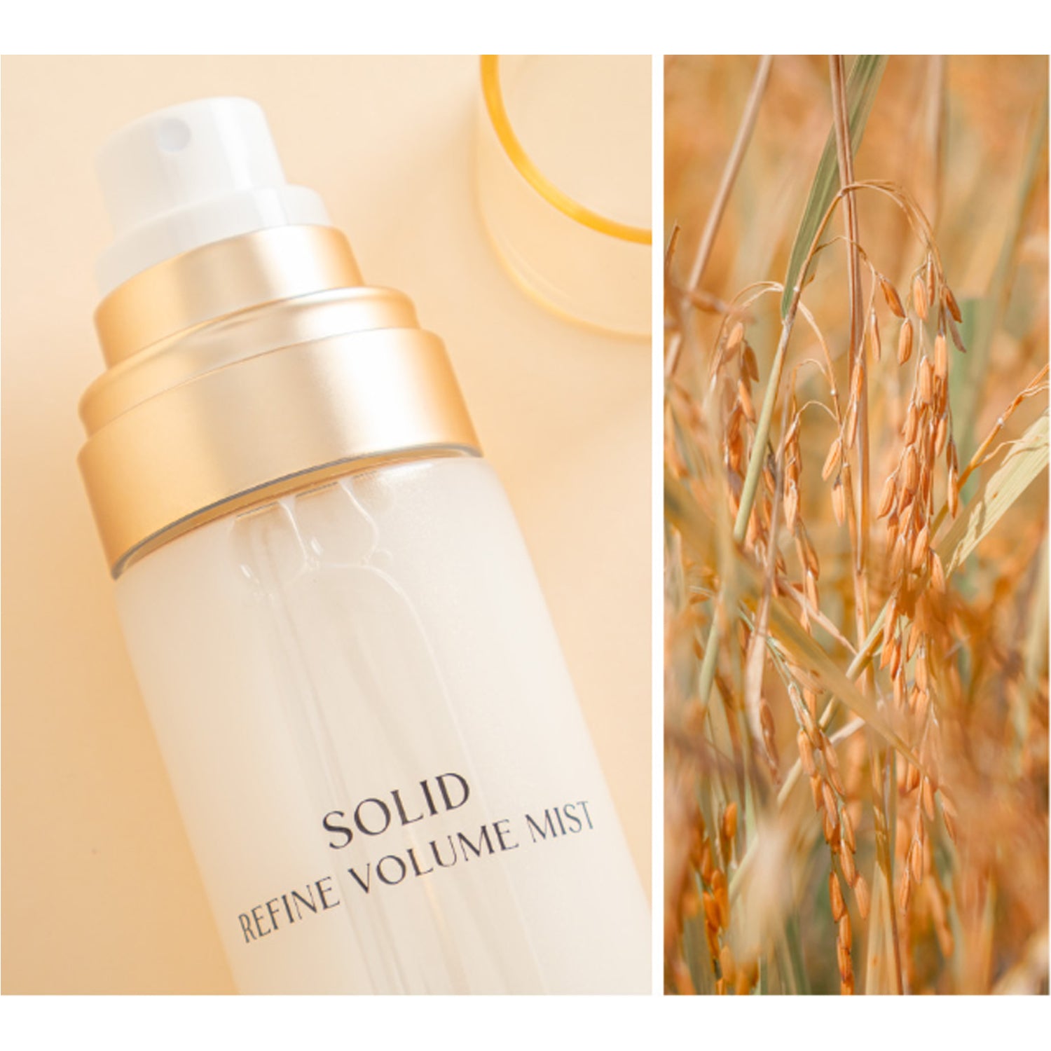 Koy Solid Refine Volume Mist 80ml [預計9月中出貨]