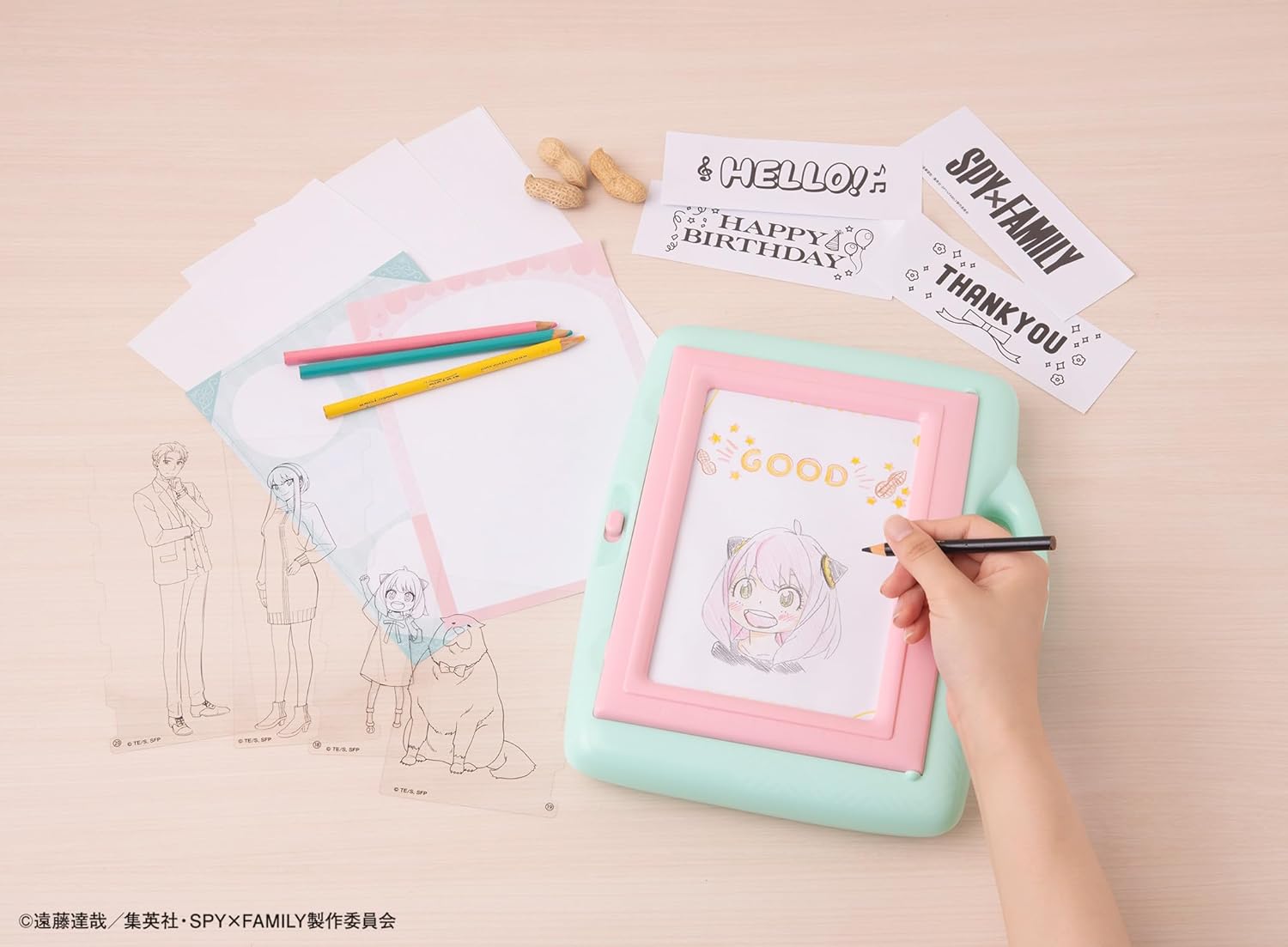 SPY x FAMILY 發光描圖畫板 兒童繪畫玩具 臨摹畫畫板 發光畫板 6歲以上 vbuy