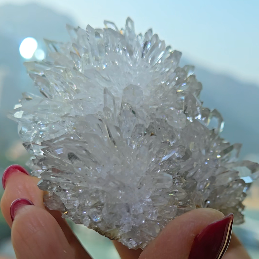 Chrysanthemum needle quartz with flower buds - CQ477