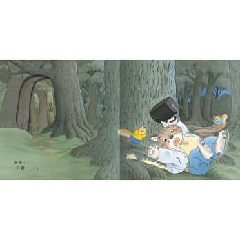 球球館 山貓醫生的團圓賞月