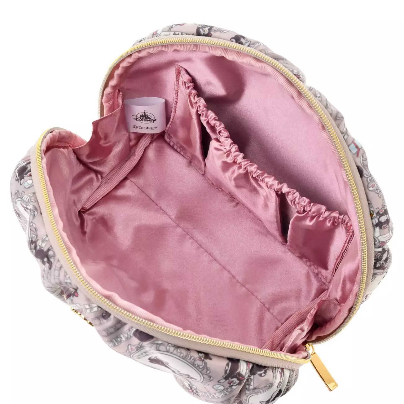 📦訂購 日本代購 Tokyo Disney 東京迪士尼 DISNEY CAT DAY Figaro 費加洛 收納袋