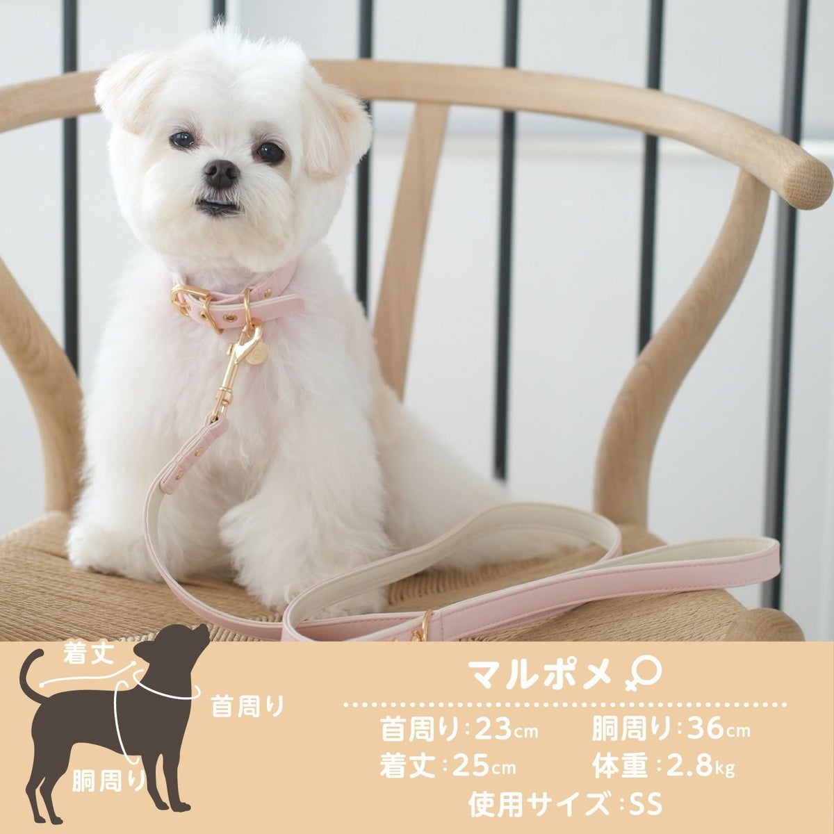 🌸 【預訂】Chiikawa 小型犬用 頸圈