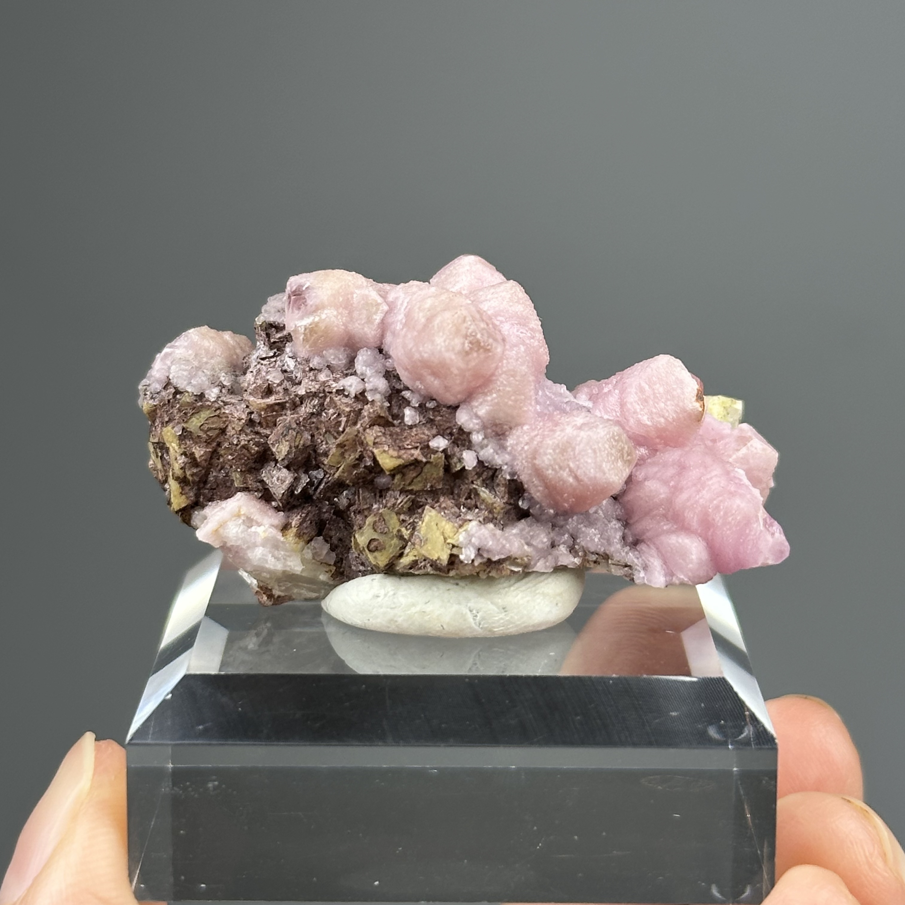 摩洛哥鈷方解石 - Cobaltoan Calcite