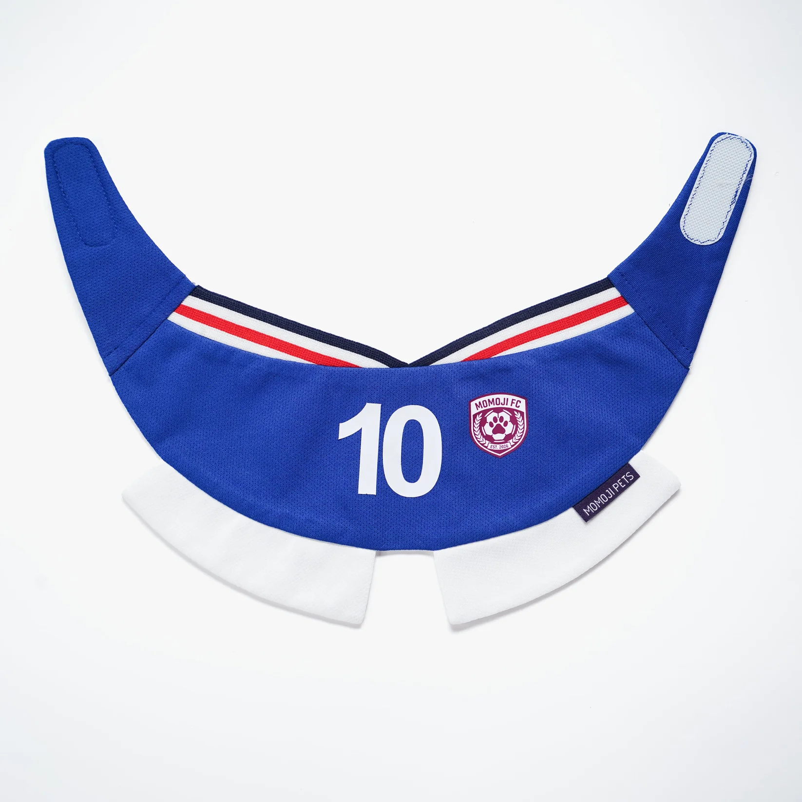 Momoji FC (5-Rome Blue) | Pet Neckwear