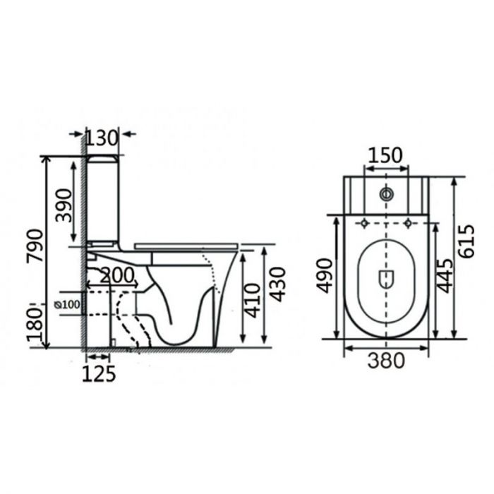 Richford  R690 Rimless 24吋 納米 自由咀座廁 