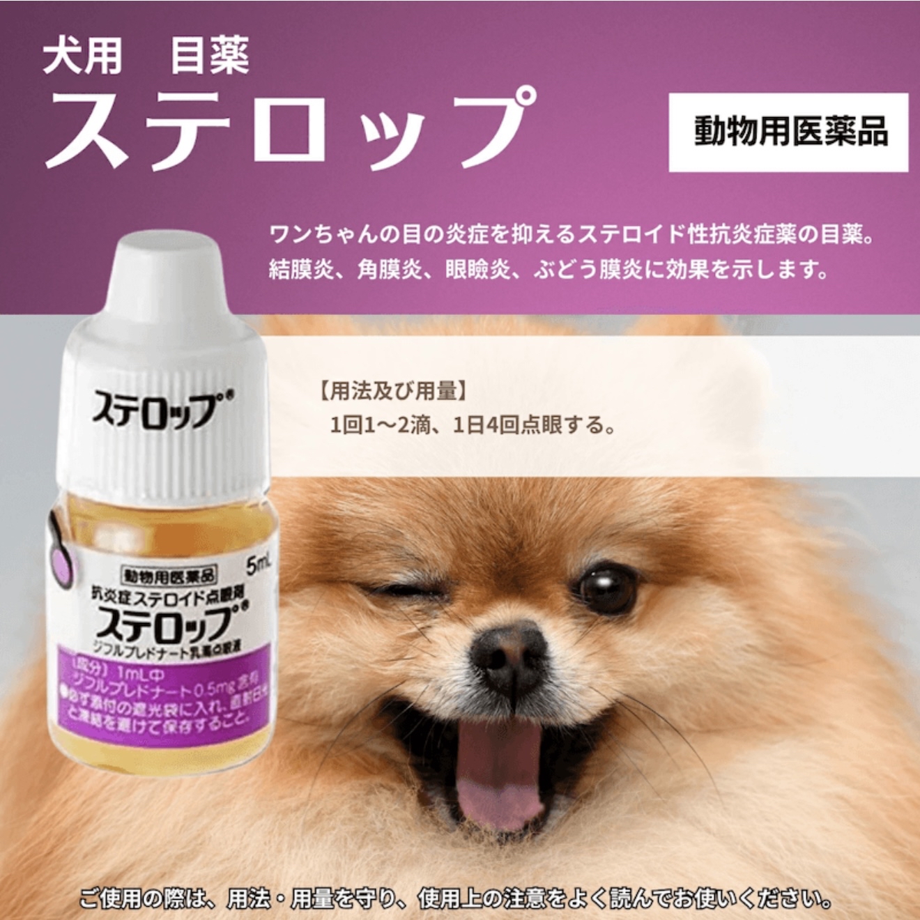 [現貨] SENjU千壽製藥 寵物狗貓眼藥水 Sterop治療犬類結膜炎和角膜炎 5ml
