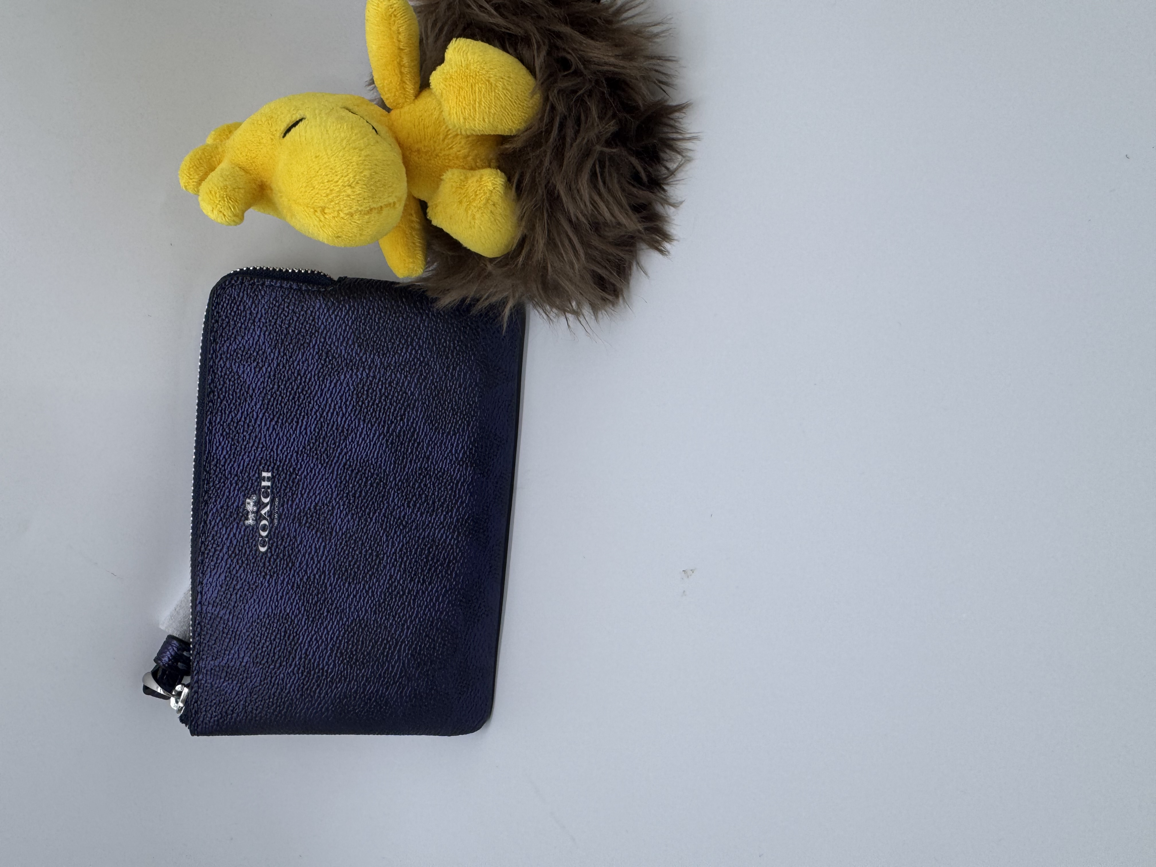 🇺🇸🇨🇦✈️Coach outlet 金屬藍色signature c pattern 系列貨品現貨💙💙🤩🤩