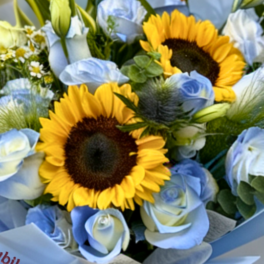 🌻向日葵 藍白漸變玫瑰 