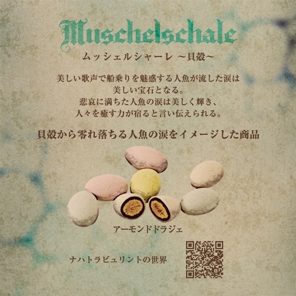 日本 Mary’s 貝殼系列朱古力禮盒85g